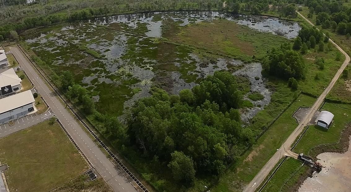 Water-sensitive landscape area
