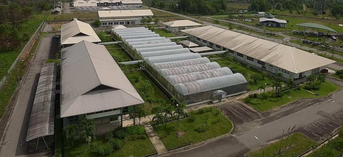 Incubator, office and core facility cluster